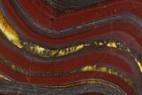 Polished Tiger Iron Stromatolite - Billion Years #129210-1